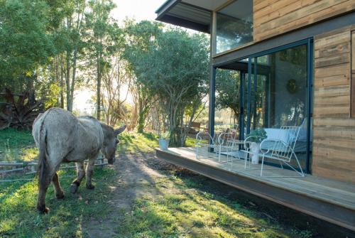 a donkey walking in front of a house at ECO Lodge Villa Villekula in The Crags