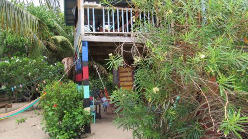 a house with a balcony in a tree at Anda Di Hows Hostel in Placencia Village