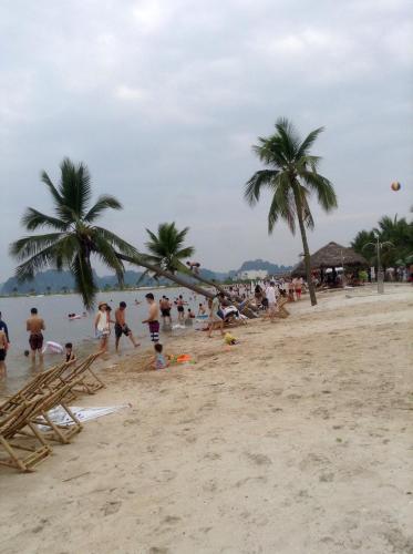 a group of people on a beach with palm trees at Queen Motel in Ha Long