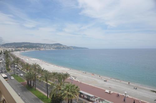 a view of a beach with palm trees and the ocean at Sea View Astrella in Nice