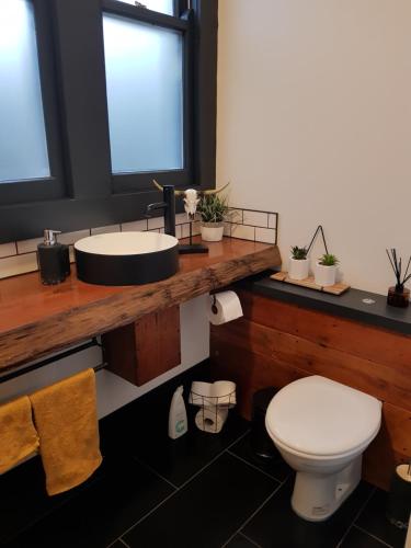 a bathroom with a sink and a toilet at Studio9 in Whangarei