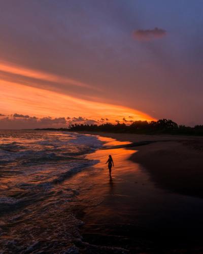 a person walking on the beach at sunset at Turtle Bay Boutique Hotel in Tangalle
