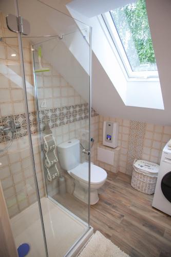 a bathroom with a toilet and a glass shower at Apartamenty Osowa nad jeziorem Okmin in Suwałki