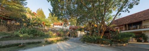 a tree in the middle of a street at Krabi Villa Phu Khao Private Resort in Klong Muang Beach