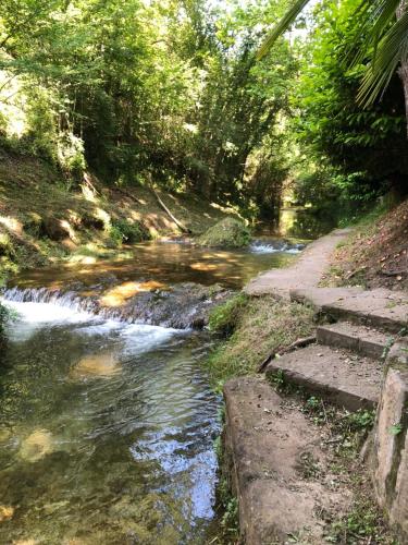 a stream with stairs next to a river with trees at Càmping Molí de Vilamala in Les Planes d'Hostoles