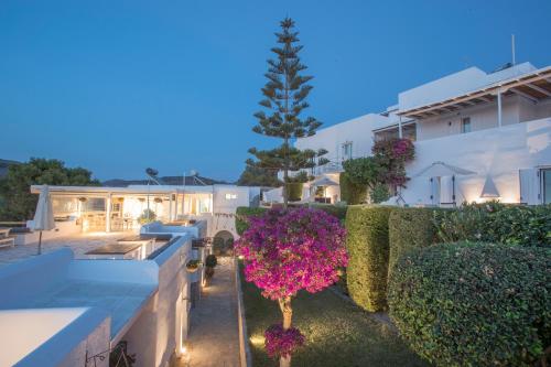 Paros Palace - Adults Onlyにある庭