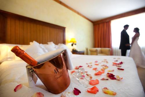 Cama ou camas em um quarto em Park Hotel Calama