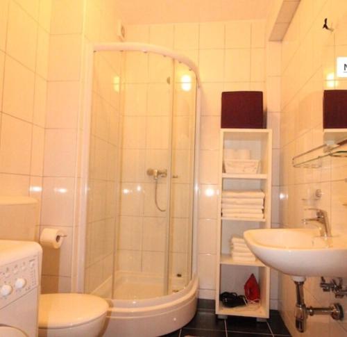 a bathroom with a shower and a toilet and a sink at Apartment Ema in Trebinje