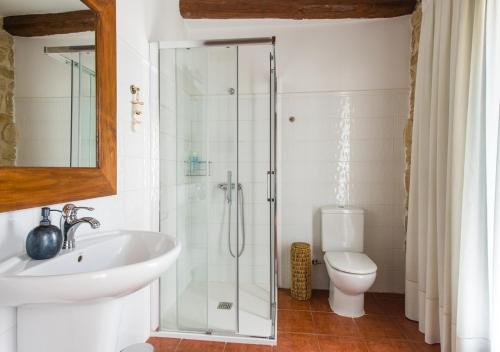 a bathroom with a shower and a sink and a toilet at Cal Tomas, Ecoturisme Terra Alta in Bot