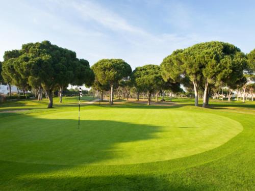Golf ved resortet eller i nærheden