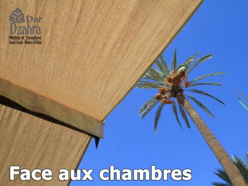 a palm tree and a building with a palm tree at Riad Dar Dzahra in Taroudant