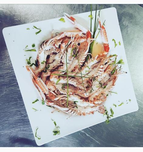 a white plate with a seafood dish on it at Hotel Intervallo in Torre Lapillo