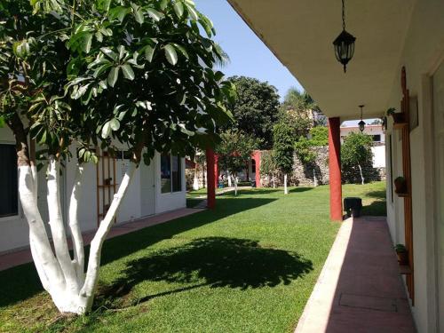 a tree in a yard next to a building at Hotel Quinta Paraiso in Cocoyoc