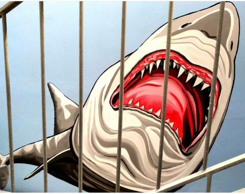 a shark in a cage with its mouth open at L'Angolo Di Beppe in Torre Lapillo