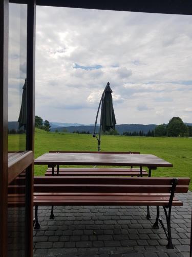 a picnic table with an umbrella in a field at Gniewnik in Pcim