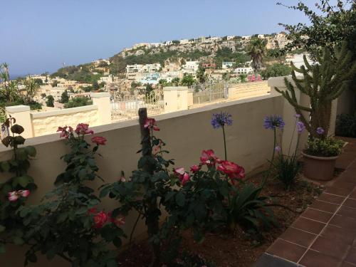 a view from the garden of a house with flowers at Mellieha in Għajn Żejtuna