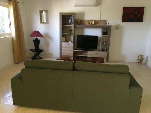 a living room with a green couch and a television at Mellieha in Għajn Żejtuna