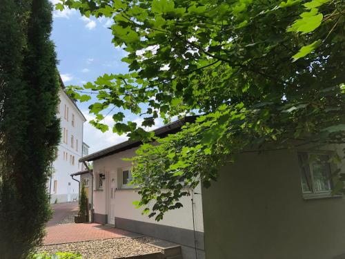 Gallery image of Fi-Ferienhaus in Waldeck