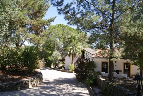a house in the middle of a road with trees at Casa do Vale in Sao Pedro de Tomar