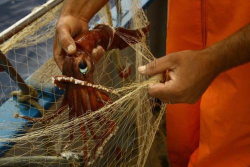 a man is working on a fishing net at Tenute Plaia Agriturismo in Scopello
