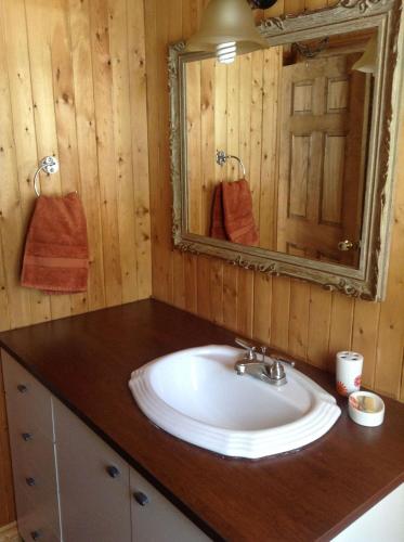 une salle de bains avec un lavabo et un miroir dans l'établissement Chalet d'Anna, à Saint-Damien