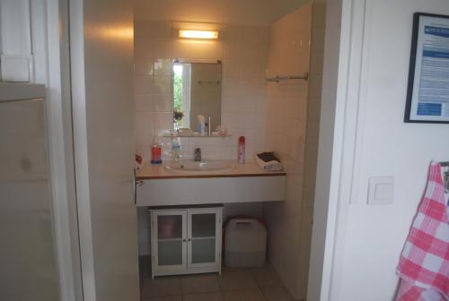 un bagno con lavandino e specchio di Résidence le Belvedere de Gissac a Sainte-Anne