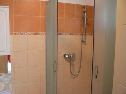 バラトナサードにあるHullám Apartmanのバスルーム(ガラスドア付きのシャワー付)
