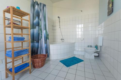 フレンスブルクにあるFerienwohnung FischersFruのバスルーム(シャワー、トイレ、はしご付)