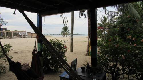 a hammock on a beach with a view of the ocean at Anda Di Hows Hostel in Placencia Village