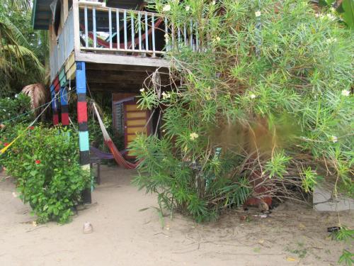 a house with a balcony and a tree at Anda Di Hows Hostel in Placencia Village