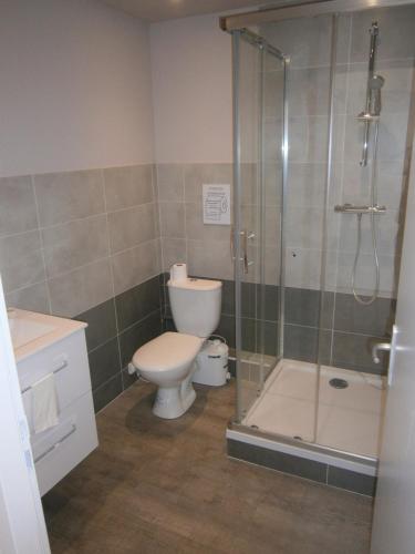 La salle de bains est pourvue de toilettes et d'une douche en verre. dans l'établissement Les Dimathal, à Mens