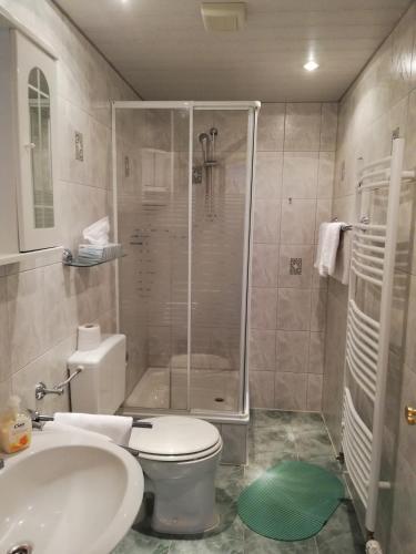 a bathroom with a shower and a toilet and a sink at Hotel Am Stadtwall in Anklam
