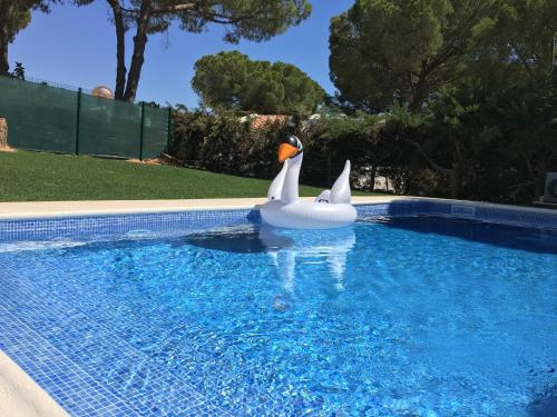 a inflatable swan in a swimming pool at Villa Zen - beautiful private pool-heating option, hot tub, beautiful garden in Albufeira