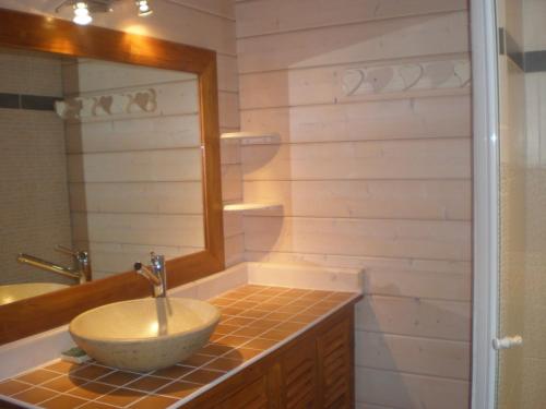 a bathroom with a sink and a mirror at Le Chalet de Philippe in La Bresse