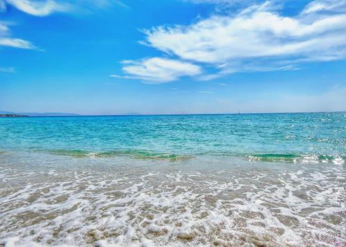 Φωτογραφία από το άλμπουμ του Dolphin Kastraki Studios στο Καστράκι Νάξου