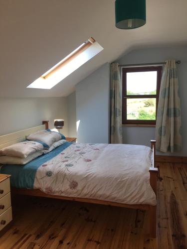 Gallery image of Camino House in Tralee