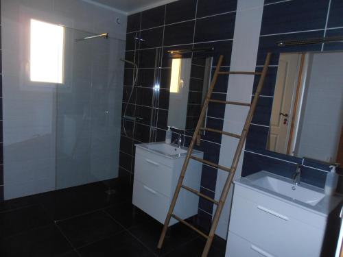 a bathroom with a ladder next to a toilet and a sink at Chambres sous les vignes du Buttois in Bussy-le-Grand