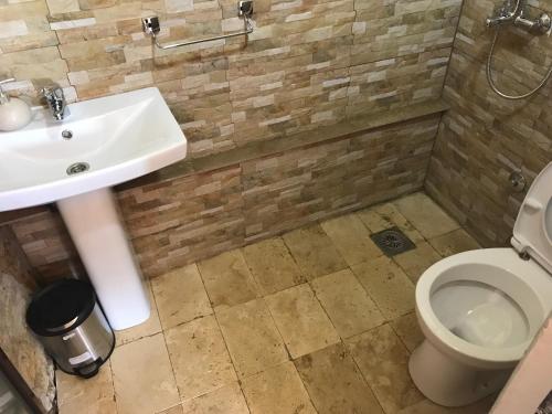 La salle de bains est pourvue d'un lavabo et de toilettes. dans l'établissement Olive Paradise, à Ulcinj