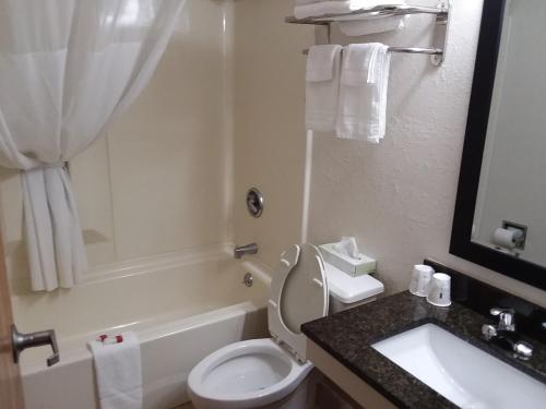 a bathroom with a white toilet and a sink at Days Inn by Wyndham Hornell NY in Hornell