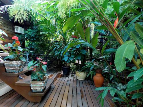 a bunch of plants on a wooden deck at Pousada Riacho Dos Cambucas in Abraão
