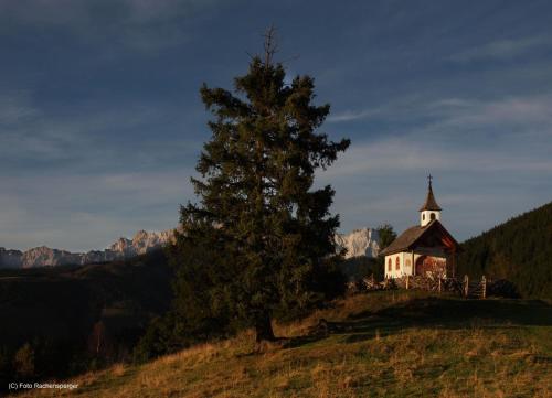 a church on top of a hill with a tree at Chalet im Dorf in Goldegg