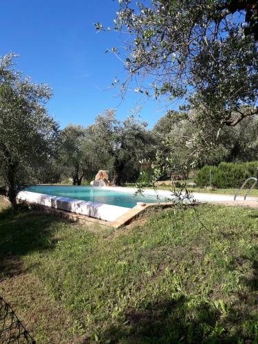 uma piscina no meio de um quintal em Agriturismo San Pietro em Castiglione dʼOrcia