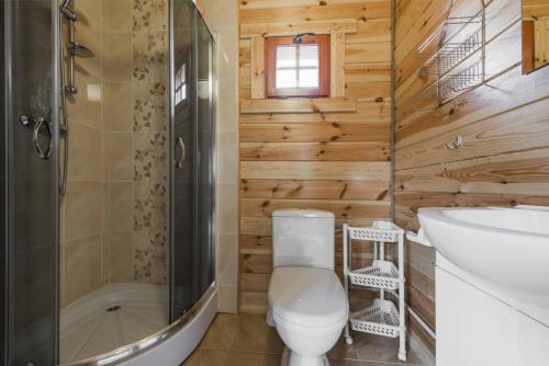 a bathroom with a toilet and a sink and a shower at Domek w sercu Kaszub in Sominy