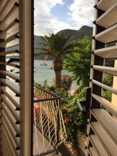 a balcony with a view of the water and a palm tree at Jerkovic Apartment in Žuljana