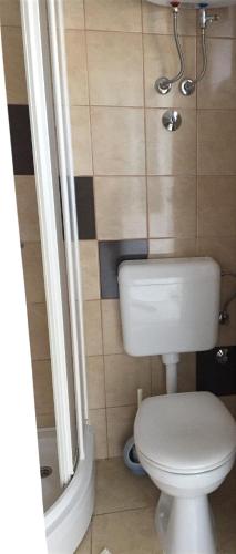 a bathroom with a white toilet and a shower at Jerkovic Apartment in Žuljana