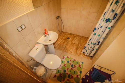 uma pequena casa de banho com WC e lavatório em Rusnietis em Rusne