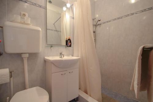 een badkamer met een toilet, een wastafel en een douche bij Nerina in Novigrad Istria