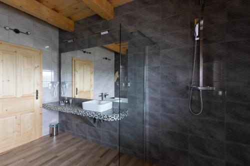 a bathroom with a sink and a shower at Rezidence u Jezera in Jeseník
