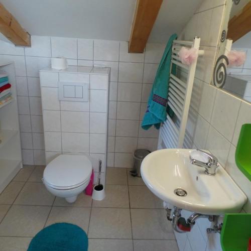 a small bathroom with a toilet and a sink at Jankoviceva cesta 19 in Matulji