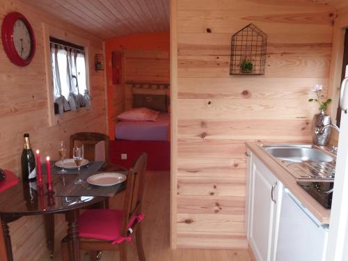 una cocina con fregadero y una mesa en una cabaña en roulotte du domaine des Chevrettes, en Cour-Cheverny